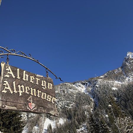 Albergo Alpenrose Ski&Bike Mountain Hotel Gressoney-Saint-Jean Exterior foto
