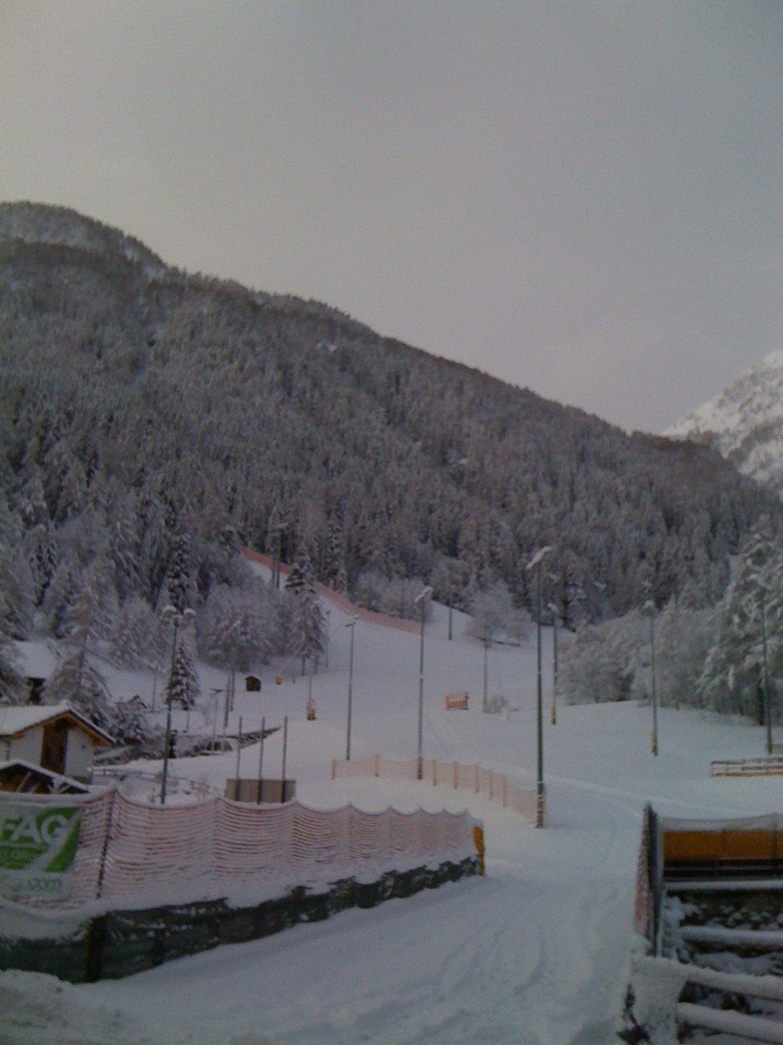 Albergo Alpenrose Ski&Bike Mountain Hotel Gressoney-Saint-Jean Exterior foto
