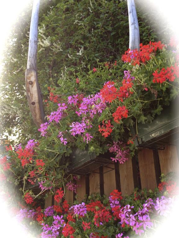 Albergo Alpenrose Ski&Bike Mountain Hotel Gressoney-Saint-Jean Exterior foto