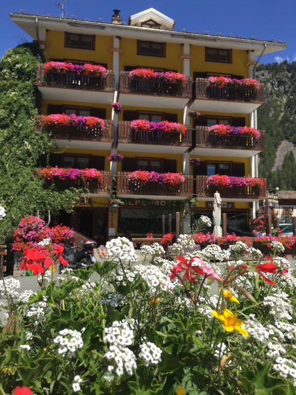 Albergo Alpenrose Ski&Bike Mountain Hotel Gressoney-Saint-Jean Exterior foto