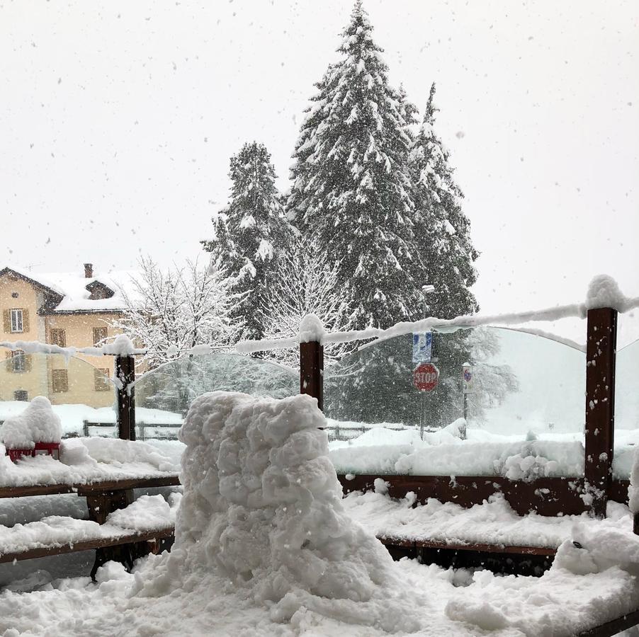 Albergo Alpenrose Ski&Bike Mountain Hotel Gressoney-Saint-Jean Exterior foto