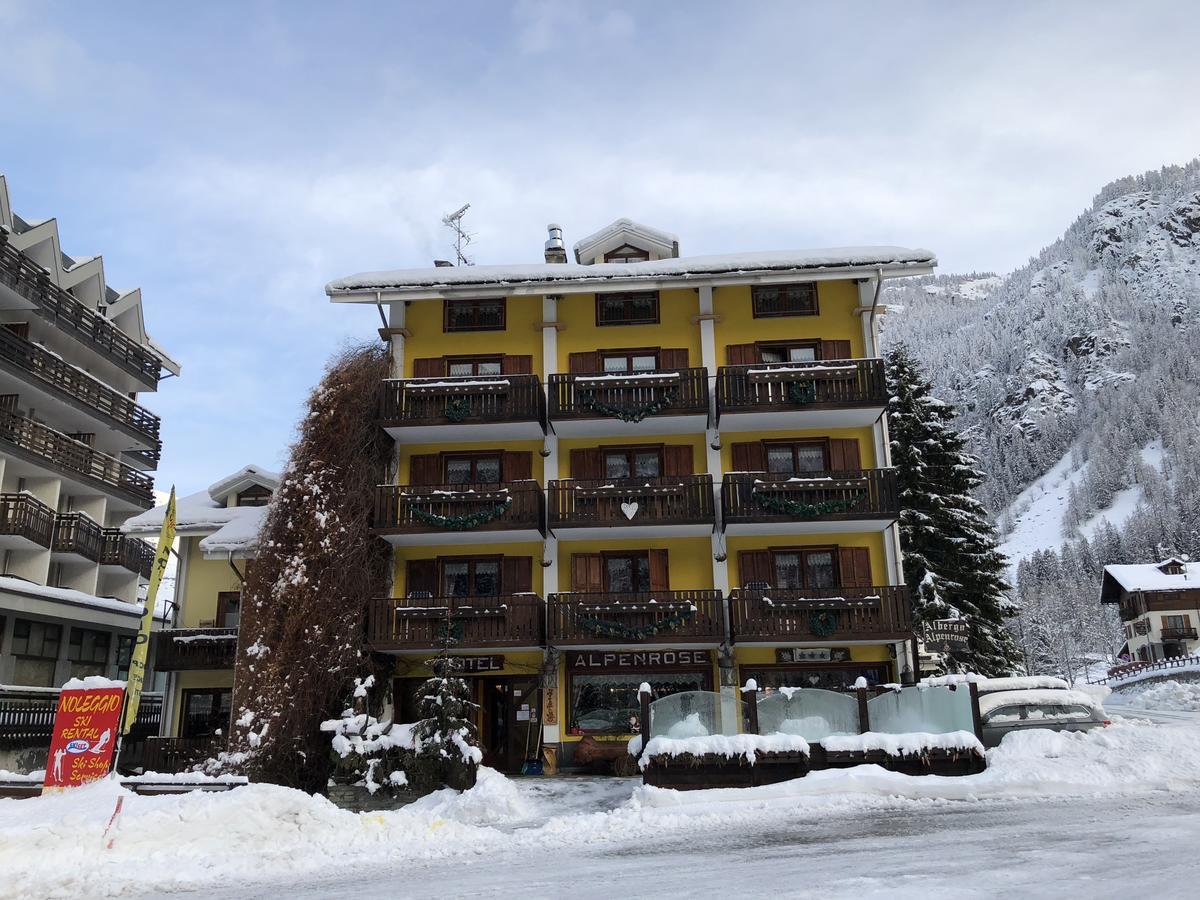 Albergo Alpenrose Ski&Bike Mountain Hotel Gressoney-Saint-Jean Exterior foto
