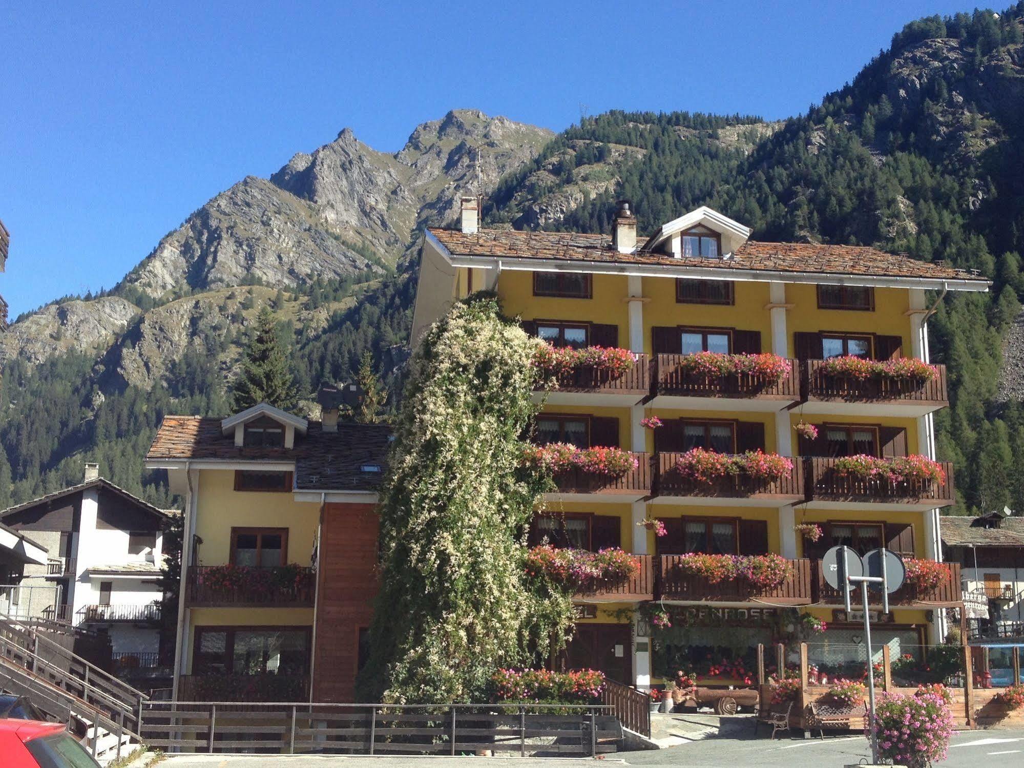 Albergo Alpenrose Ski&Bike Mountain Hotel Gressoney-Saint-Jean Exterior foto