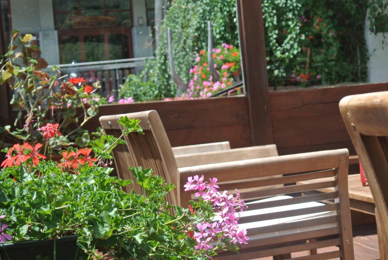 Albergo Alpenrose Ski&Bike Mountain Hotel Gressoney-Saint-Jean Exterior foto