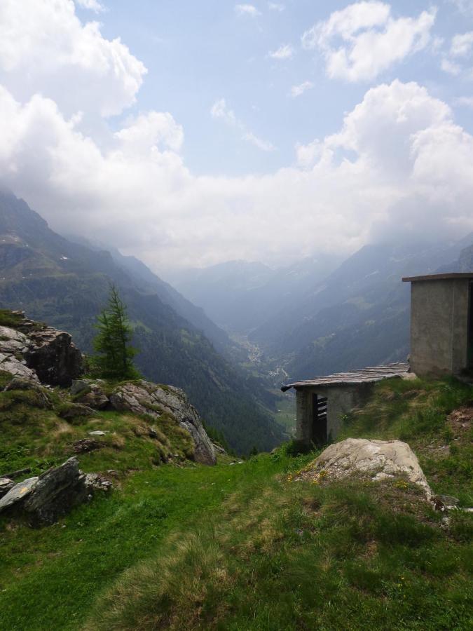 Albergo Alpenrose Ski&Bike Mountain Hotel Gressoney-Saint-Jean Exterior foto